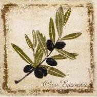Декор Прованс А1912\1221 9,9х9,9 оливки — 