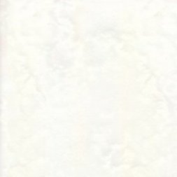 Плитка настенная Ривьера (Толедо) белый 200х200  14-10-00-019 1с